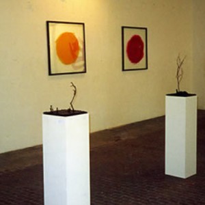 Ausstellung Evolution mit Katrin Bongard, 2004